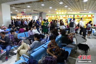 海南出臺商品住宅價格備案新規(guī) 備案后半年內不得調高，助力旅游業(yè)發(fā)展